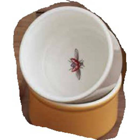 Portmeirion Botanic Garden Harmony Ramekin