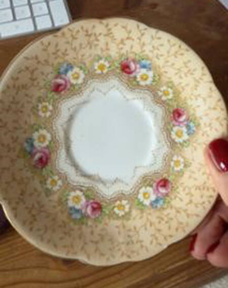 Damask Rose by Paragon