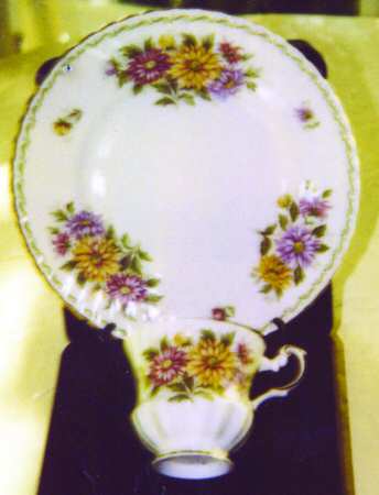 Aster by Rosina-Queens