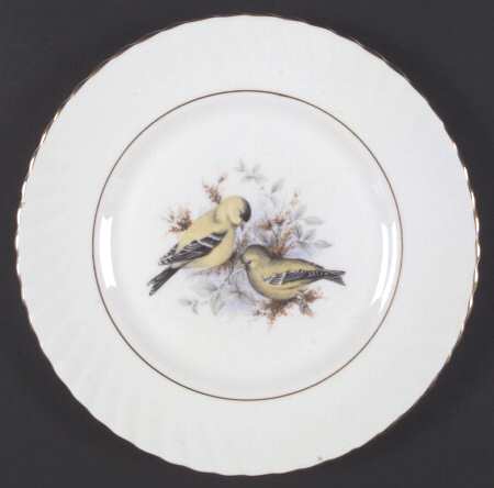 Birds of America by Rosina-Queens