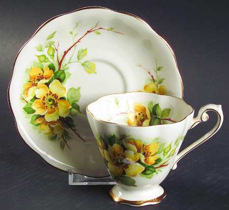 Wild Rose by Royal Standard