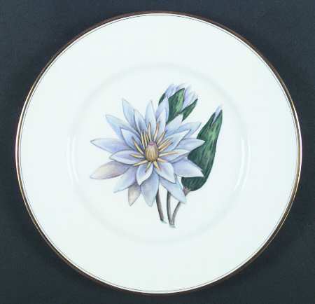 Royal Worcester Z2168 Dinner Plate