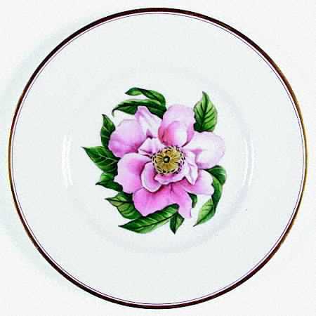 Royal Worcester Z2168 Dinner Plate