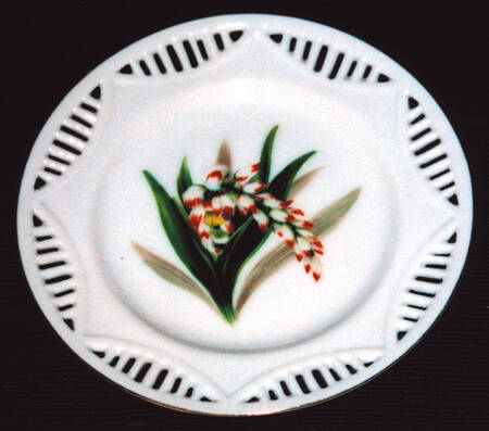 Shell Ginger by Rossetti