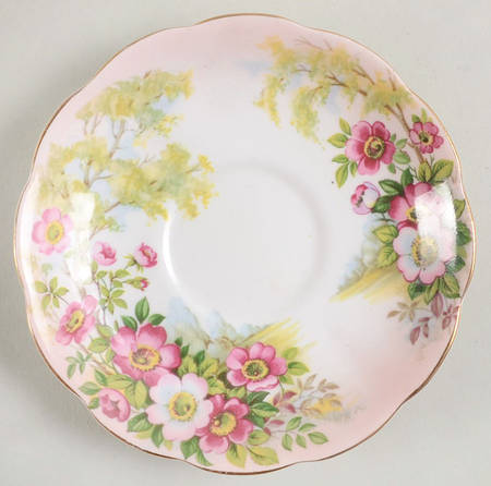 Wild Rose by Royal Albert