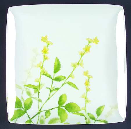 Language of Flowers by Royal Worcester