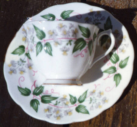 Travellers Joy (Scalloped) by Royal Albert