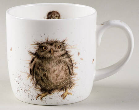 Royal Worcester Wrendale Designs Mug