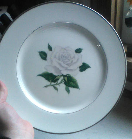 Ivory Rose by Royal Song