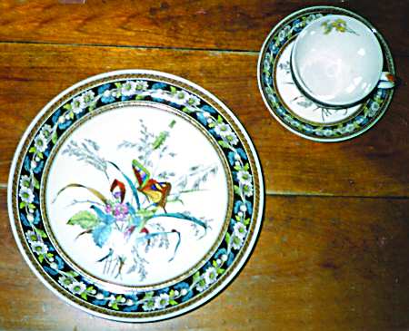 2-7986 by Spode