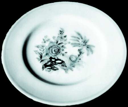 Juliana by Spode