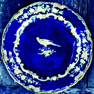 Spode R9480 Dinner Plate