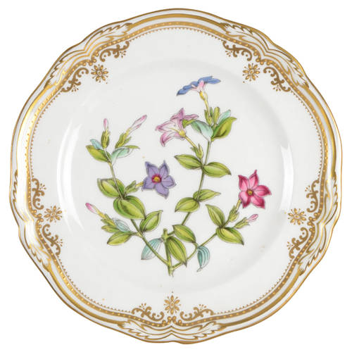 Spode Stafford Flowers Bread & Butter Plate
