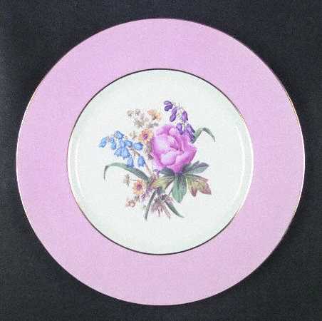 Spode Y4625 Dinner Plate