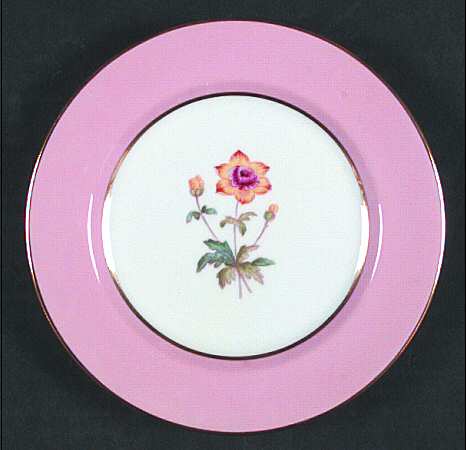 Spode Y4625 Bread & Butter Plate