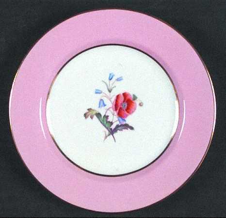 Spode Y4625 Bread & Butter Plate