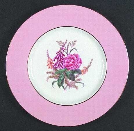 Spode Y4625 Dinner Plate