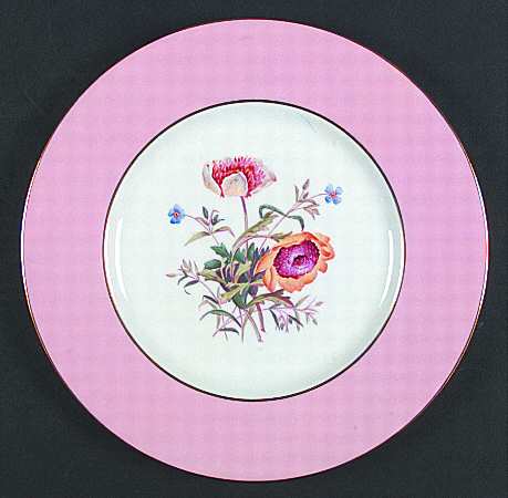 Spode Y4625 Dinner Plate