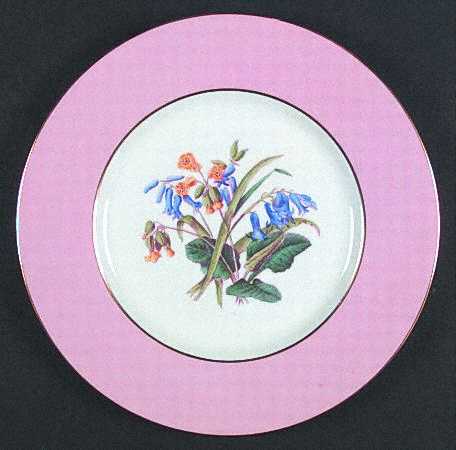 Spode Y4625 Dinner Plate