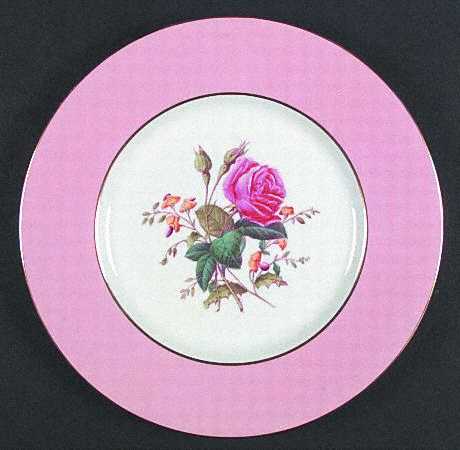 Spode Y4625 Dinner Plate