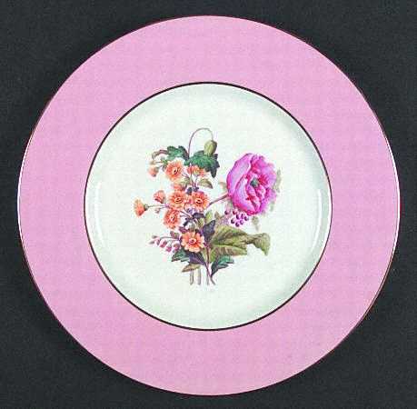 Spode Y4625 Dinner Plate