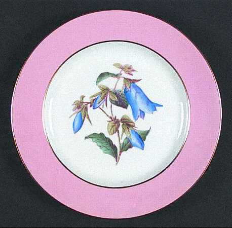 Spode Y4625 Salad Plate