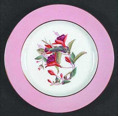 Spode Y4625 Salad Plate