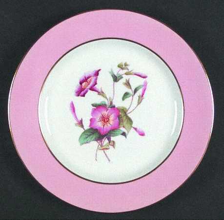 Spode Y4625 Salad Plate