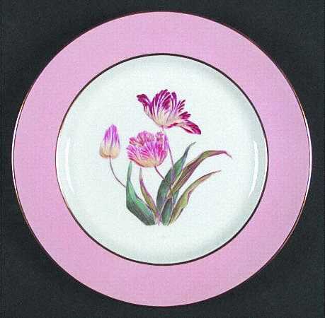 Spode Y4625 Salad Plate