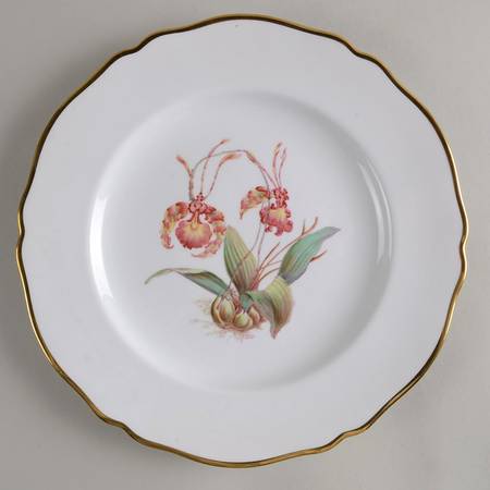 Y5552 (Scalloped) by Spode