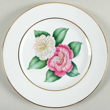 Spode Y6059 Dinner Plate