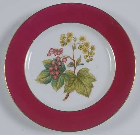 Spode Y6236 Salad Plate