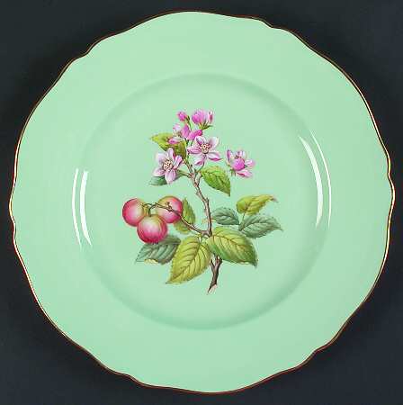 Spode Y6630 Dinner Plate