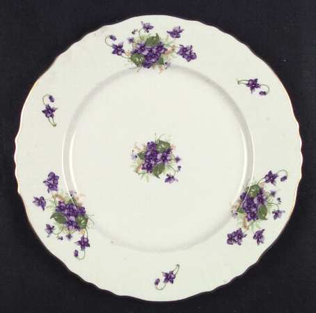 Violets by Syracuse