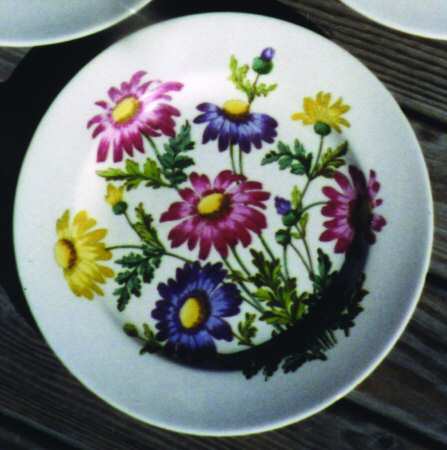 Pirethrum by Spode