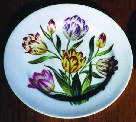 Tulip by Spode