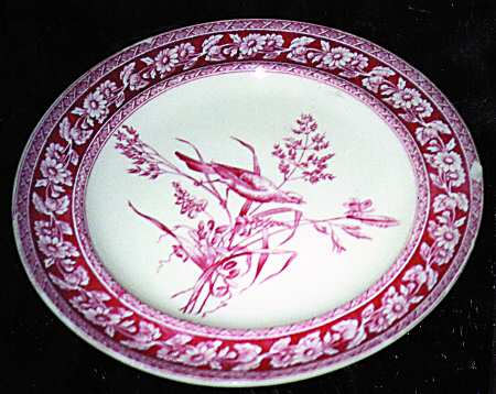 SP100 by Spode
