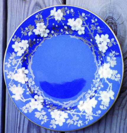 R7506 by Spode