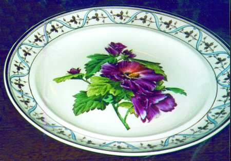 SP140 by Spode