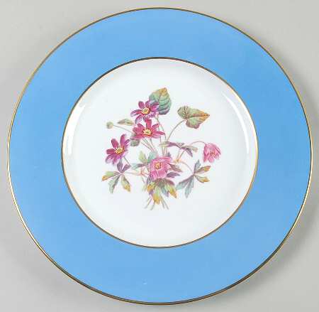 Spode Y6169 Dinner Plate