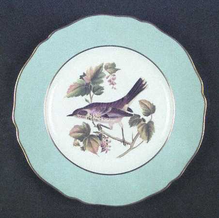 Spode Y6919 Salad Plate