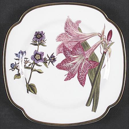 Burgess Botanical by Spode