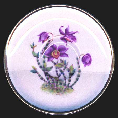 Y5552 (Smooth) by Spode