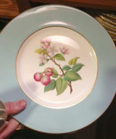 Y6523 by Spode