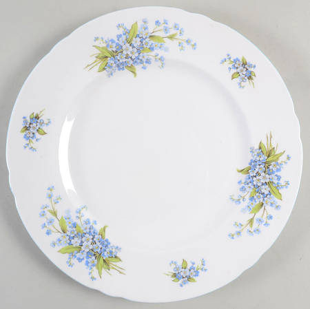 Forget Me Not by Shelley
