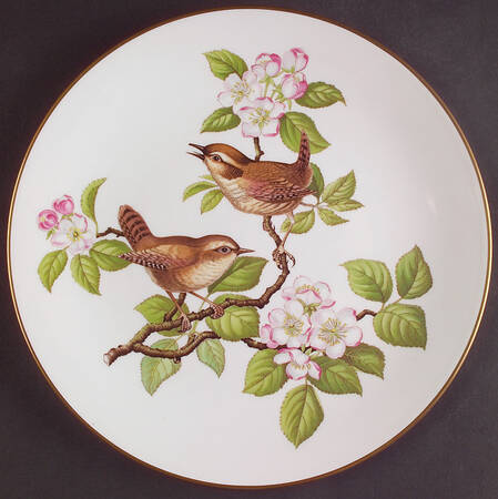 SP273 by Spode