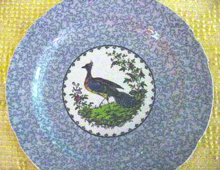 SP303 by Spode