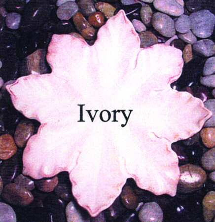 Leaves Ivory by Skyros