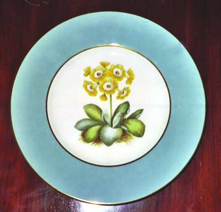 Y6301 by Spode