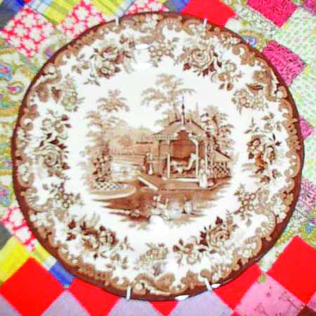 Zoological Collection Brown by Spode